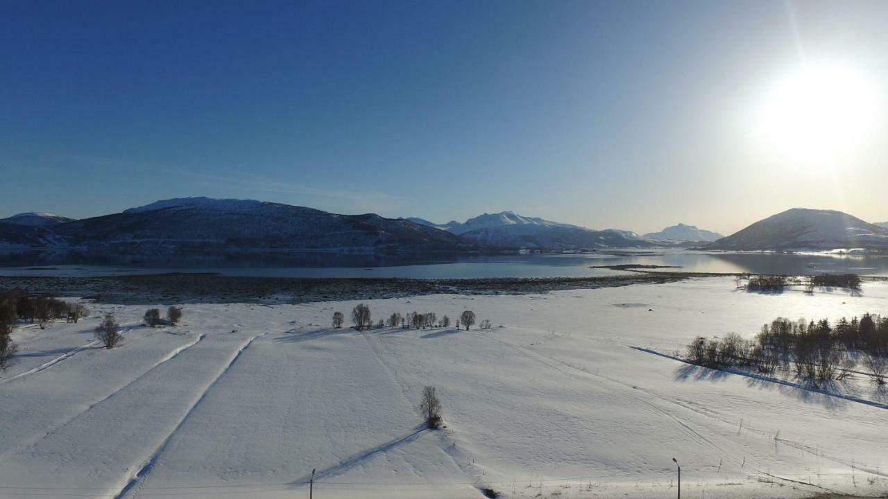 1 Room In The Yellow House, Close To Airport & Lofoten Evenskjer Экстерьер фото