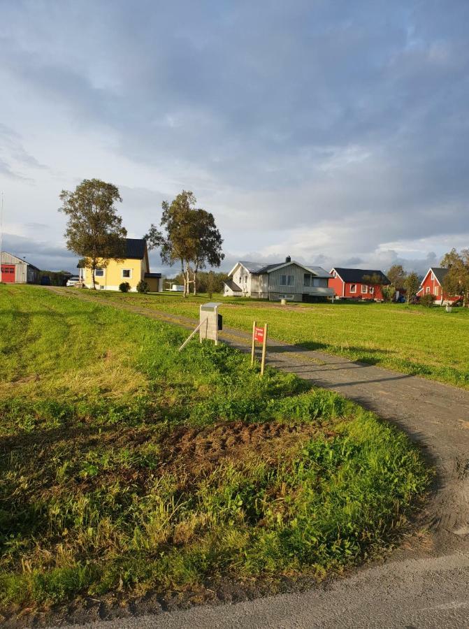 1 Room In The Yellow House, Close To Airport & Lofoten Evenskjer Экстерьер фото