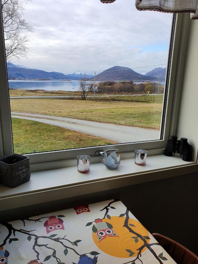 1 Room In The Yellow House, Close To Airport & Lofoten Evenskjer Экстерьер фото