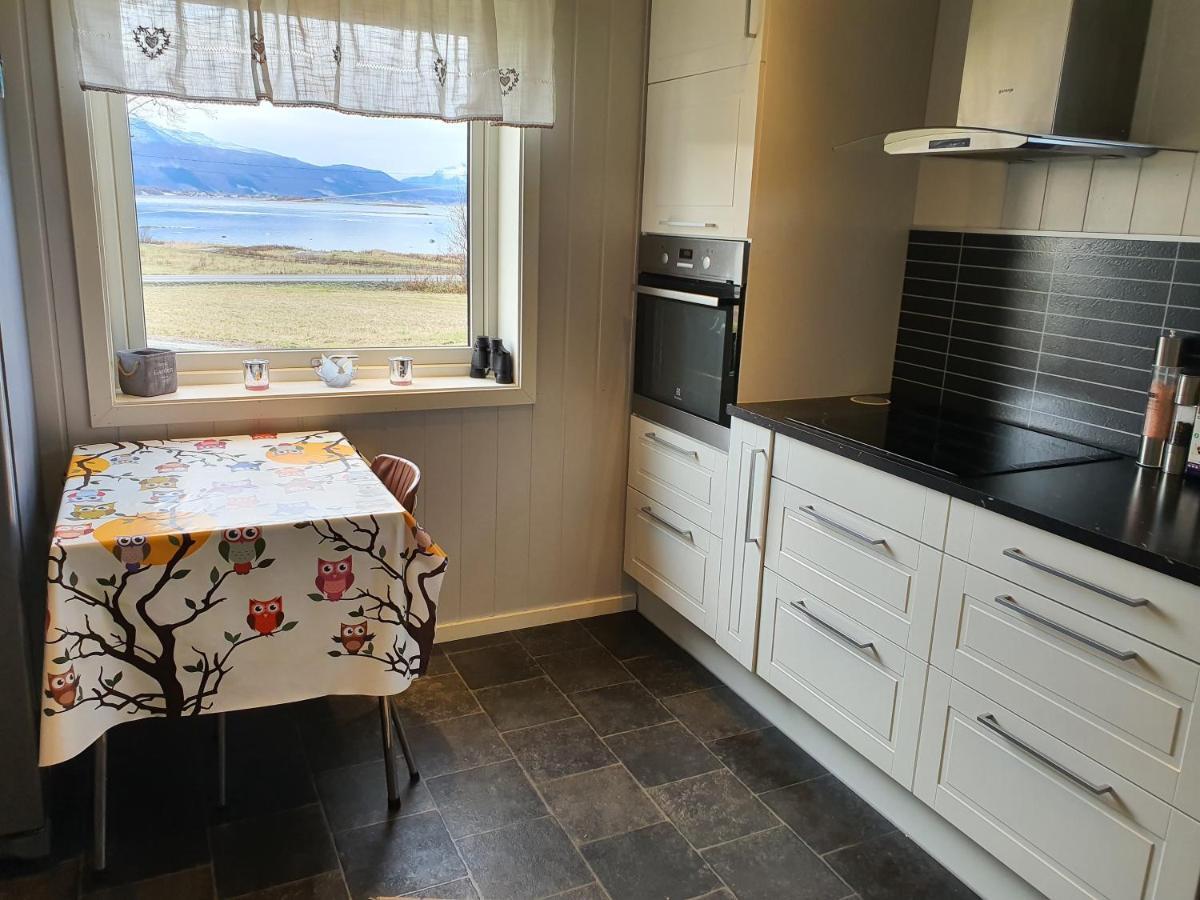 1 Room In The Yellow House, Close To Airport & Lofoten Evenskjer Экстерьер фото