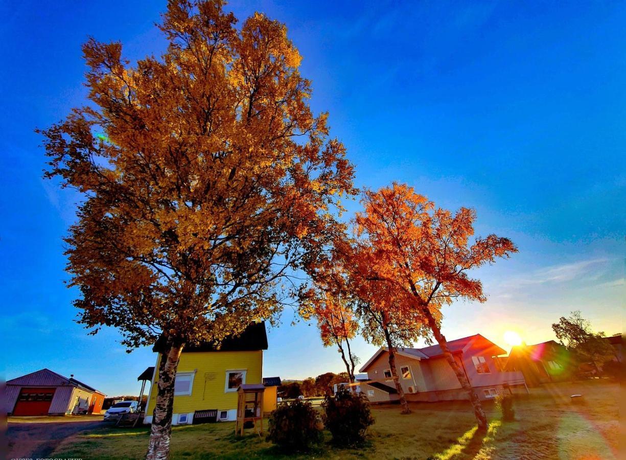 1 Room In The Yellow House, Close To Airport & Lofoten Evenskjer Экстерьер фото