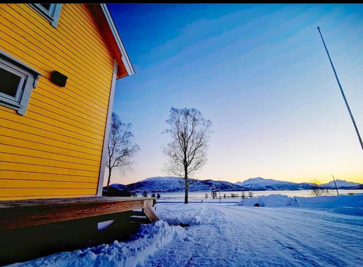 1 Room In The Yellow House, Close To Airport & Lofoten Evenskjer Экстерьер фото